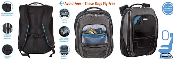 The 10 Best Carry On Bags That Fit Underseat 2020 Airfarewatchdog Blog,Upside Down Christmas Tree Hanging From Ceiling