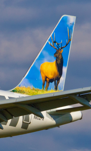 frontier airlines livery tail