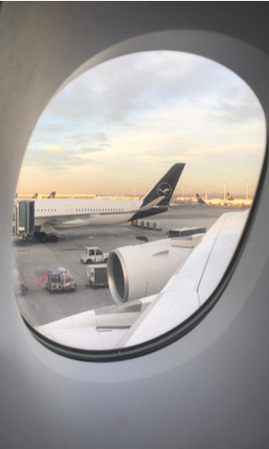 lufthansa livery tail through airplane window