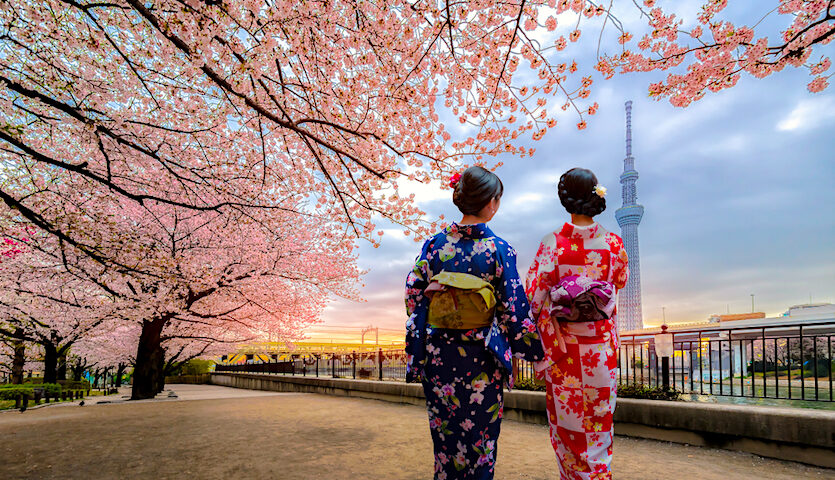 Tokyo Japan Women in Kimonos Walking Cherry Blossoms