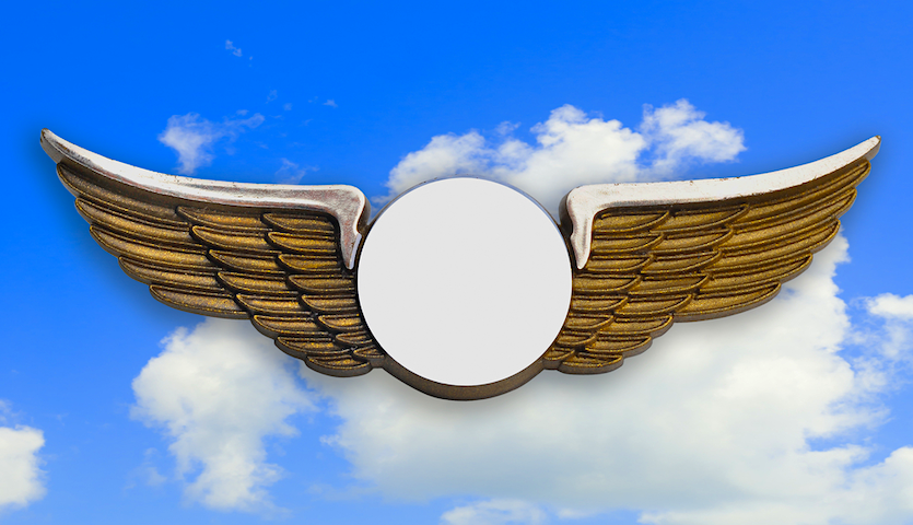 airplane wings pin for kids