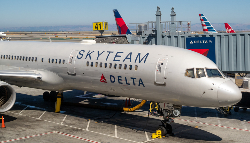 delta airplane with skyteam logo