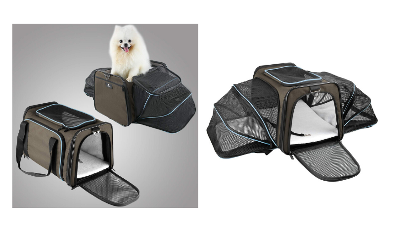 expandable pet carrier, cute white dog sticking out of carrier, open carrier