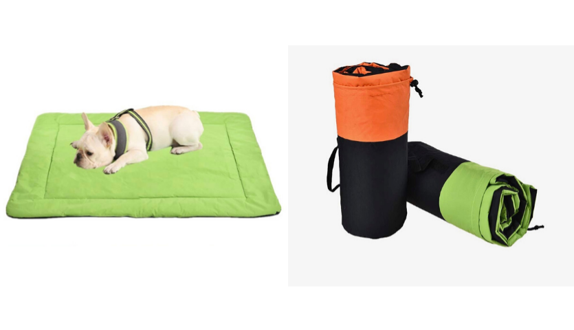 light tan french bulldog on lime green travel pet bed, orange and black and lime green and black rolled up pet bed. 