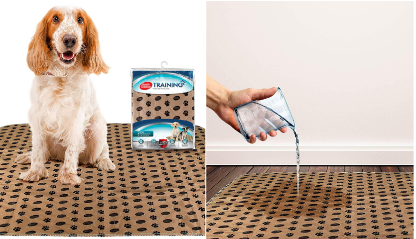 dog sitting on brown and black pee pad by simple solutions, hand pouring water on pee pad