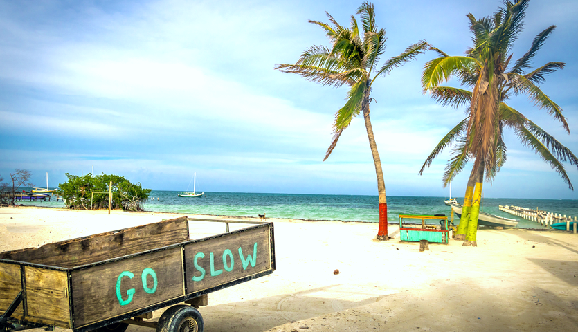 wood cart with go slow message at Caye Caulker Belize