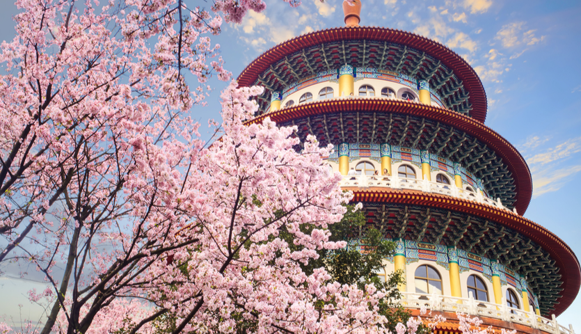 temple and cherry blossoms in Taipei Taiwan