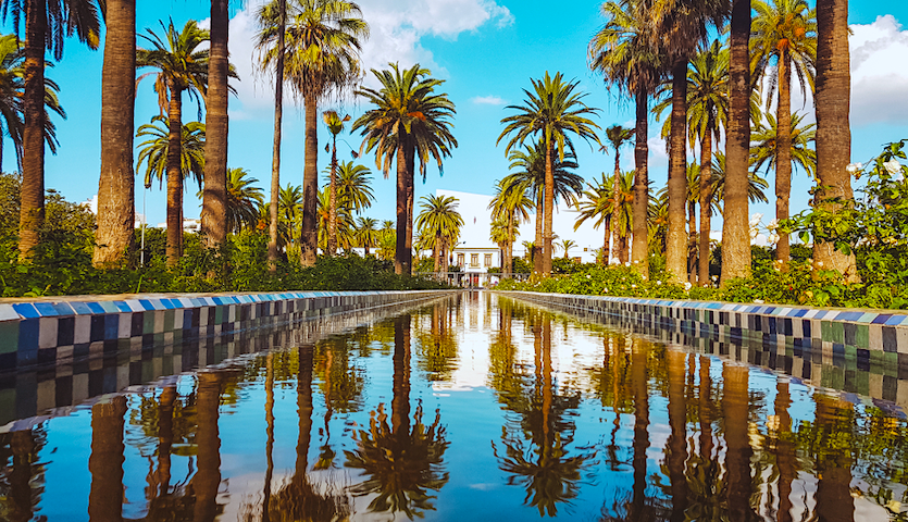 Park in Casablanca Morocco with palm trees and fountain