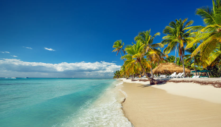 Beautiful-beach-blue-sky-palm-trees
