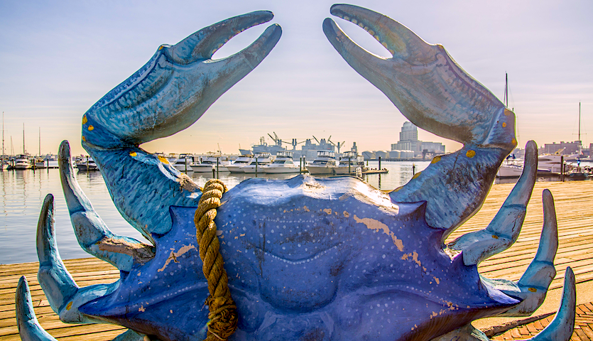 Baltimore Crab Statue by boats