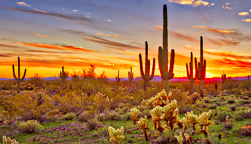 Desert sunset near Phoenix Arizona