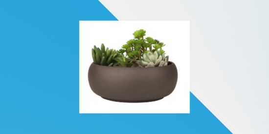 Succulent-Cactus-Planter-Pot