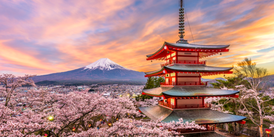 cherry blossoms and mt. fuji with temple pagoda