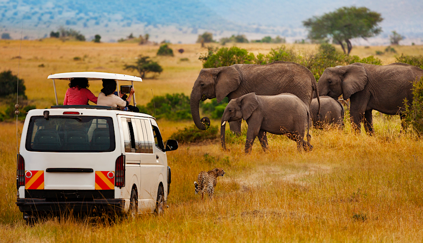 safari in the masai mara near nairobi kenya