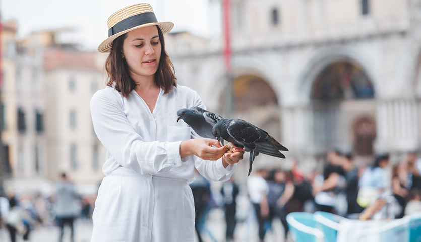 woman in white clothes with straw hat having fun with pigeons at venice city square piazza san marco.; Vera Petrunina/Shutterstock
