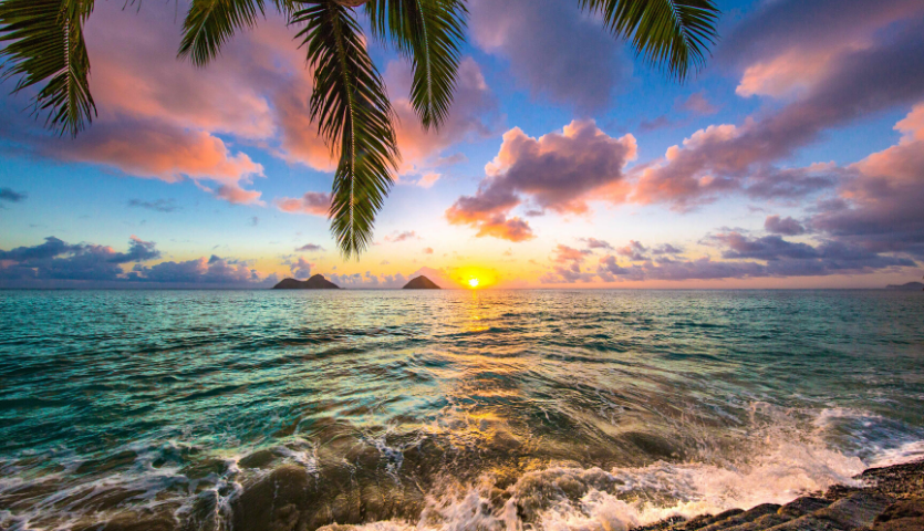 sunrise in Hawaii, Lanikai, Kailua with tree trunk